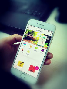 华软小程序商学院 探索微信小程序——互联网时代电商与社交的完美融合